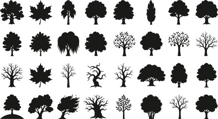 Diverse tree silhouette set featuring deciduous and coniferous plants for forest and landscape theme © Fensi