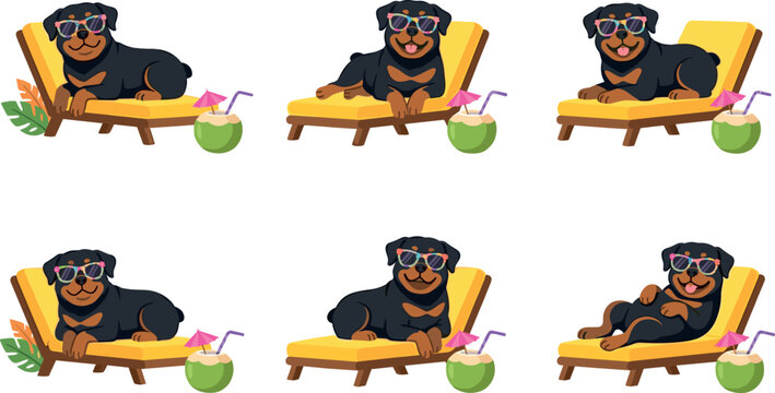 Cute Cartoon Rottweiler Dog Character Vector Set Relaxing on Beach Lounge Chair with Sunglasses and Coconut Cocktail for Summer Vacation Designs