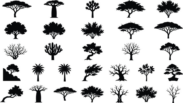 Set of various African tree silhouettes including baobab and acacia for landscape design projects