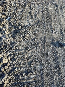 Close-up of rough gray stone texture background