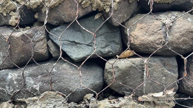 Gabion retaining wall made of wire mesh holding rocks