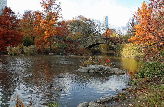 Autumn scenery on the Pond - Central Park, Manhattan, New York City