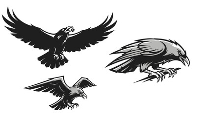 Naklejka premium Vector set of black ravens in different poses, flying and perching for design elements