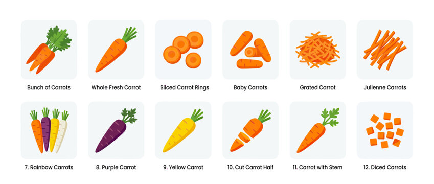 Various Carrot Preparations and Types