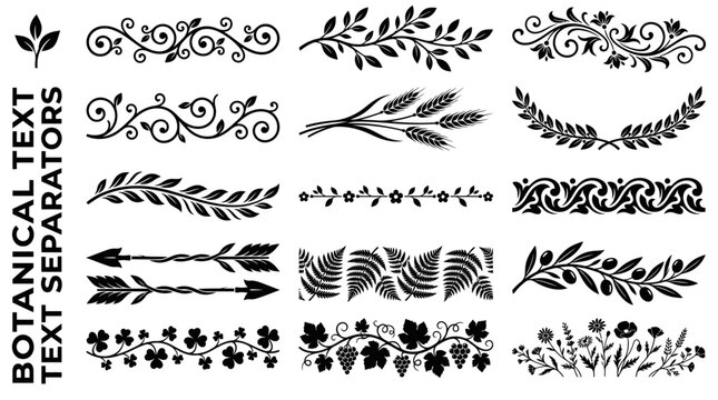 Botanical text separators silhouette set featuring floral branches leaves vines and rustic ornaments for decorative graphic design and digital vector art