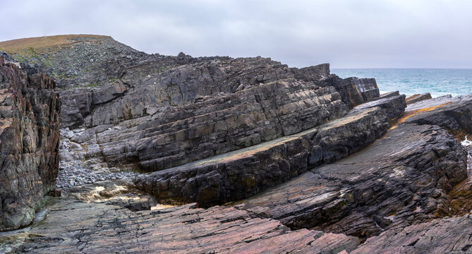 Mistaken Point, UNESCO World Heritage Site in Newfoundland, the oldest multicellular and complex deep-water marine fossils on Earth