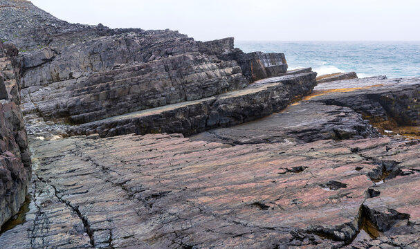 Mistaken Point, UNESCO World Heritage Site in Newfoundland, the oldest multicellular and complex deep-water marine fossils on Earth