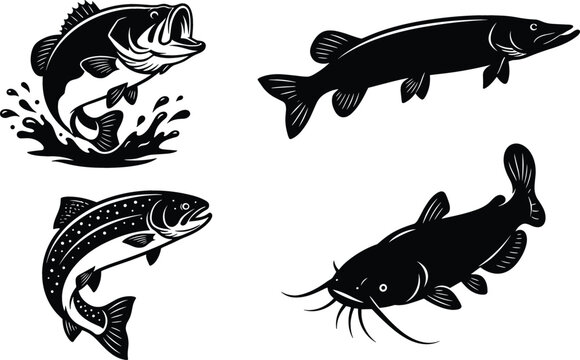 Freshwater Game Fish Silhouette Vector Set Featuring Detailed Black Icons of Jumping Bass, Northern Pike, Speckled Trout, and Whiskered Catfish for Fishing Tournament Designs