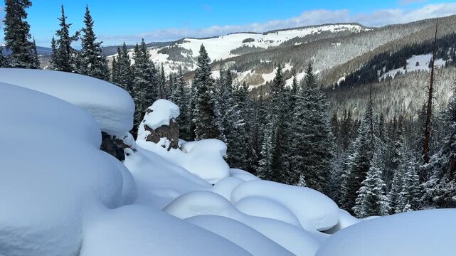 Winter Colorado morning landscape backcountry ski snowboarding deep fresh snow trees powder pillows huge cliffs drop Rocky Mountain Ptarmigan Cup Cakes Avalanche Bowl Vail Pass Copper Mountain pan
