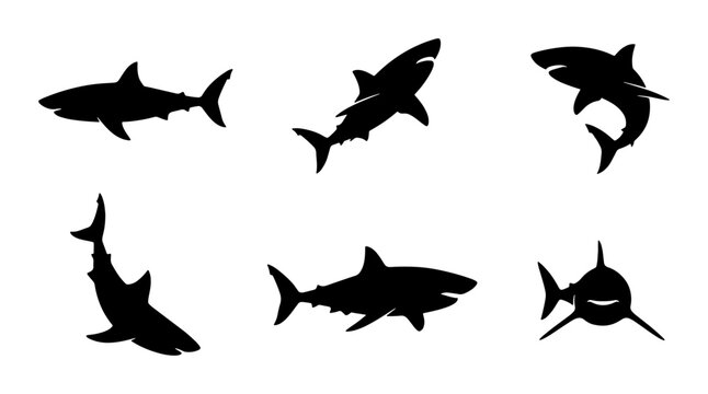Shark Silhouettes Collection: Marine Predators, Ocean Wildlife, Aquatic Danger Icons