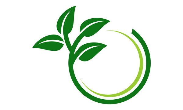 green leaf circle logo