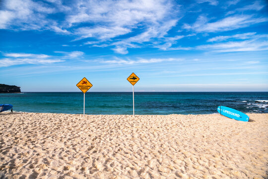 Warning signs and lifeguard rescue boards stand on Bronte Beach after a shark attack prompted the closure of Sydney's eastern suburb beaches, Australia.