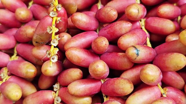 Macro Closeup of Fresh Red Date Palm Fruits on Stems.
