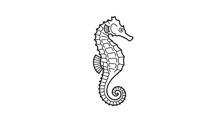 Detailed seahorse marine animal line art outline. © Desi