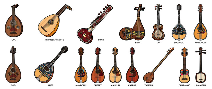 Collection of Stringed Musical Instruments
