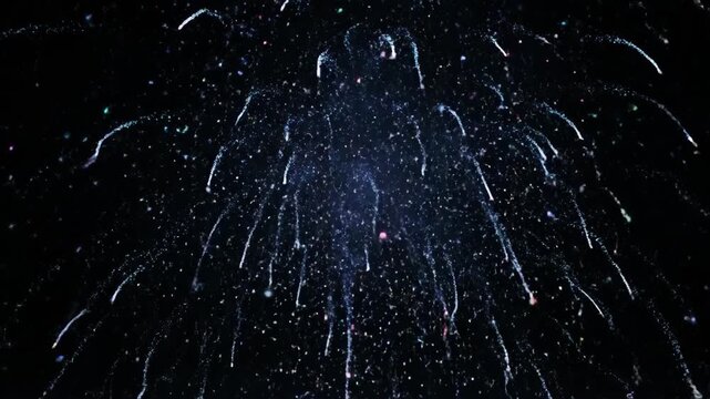 Particle special effects materials, brilliant blue fireworks bloom