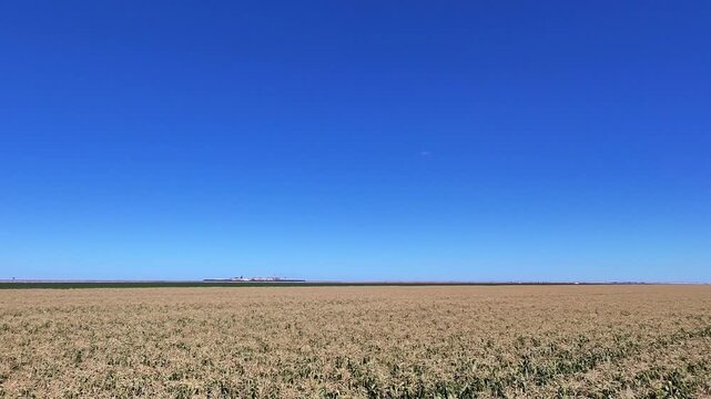 Panorama a&eacute;reo de lavoura de milho na pr&eacute;-colheita Brasil