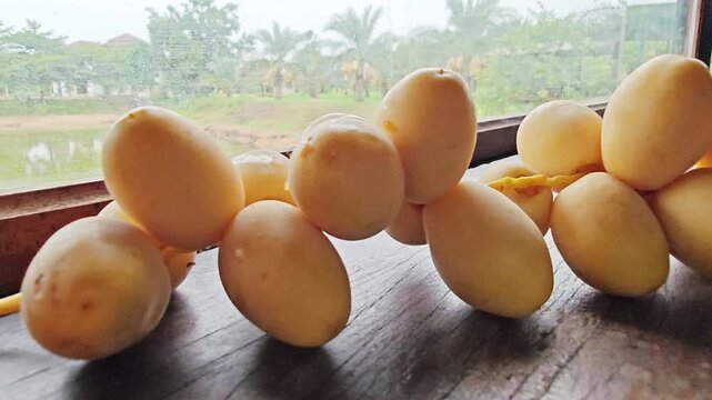 Fresh Yellow Date Palm Branch by Window with Garden View.