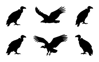 Fototapeta premium Vulture Silhouettes Collection: Flying and Standing Bird Poses, Black Vector Graphics