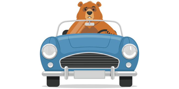 Cartoon bear driving blue convertible car front view steering wheel classic design funny animal humor creative artwork flat vector illustration