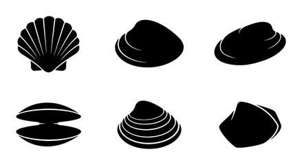 Seashell Vector Icons Set, Marine Mollusk Silhouettes, Ocean Beach Clam Graphics © Zara
