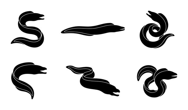 Black Eel Silhouettes, Marine Life Vector Icons, Underwater Creature Graphics, Aquatic Animal Set