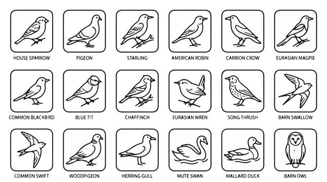 A set of 18 various common birds line art vector icon illustrations on a white background
