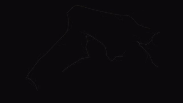 Dramatic Red Lightning Bolt Discharge Flashing on Dark Background for Energetic Motion Graphic Backgrounds and Intense Action Sequence Overlays 4k video