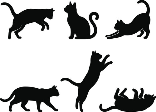 Collection of various domestic cat poses displayed in a minimalist black and white cat silhouette