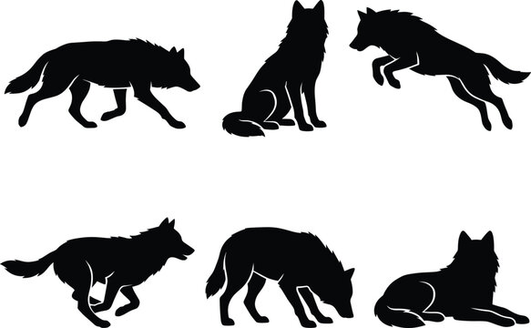 Set of various wolf poses in a black and white artistic graphic design style silhouette