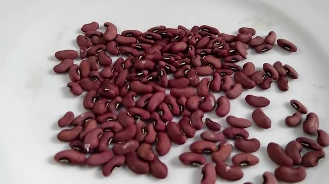 Dried yardlong bean seeds scattered on a clean white ceramic plate. Close-up top view of organic leguminous seeds ready for planting or cooking.