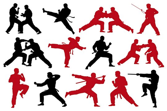 Silhouette figures martial arts training high resolution picture