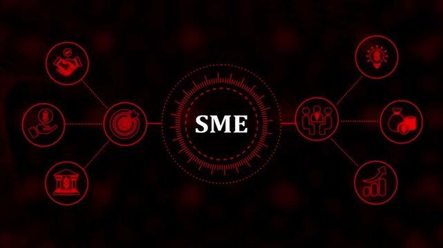 Sme business growth infographic: digital network concept with financial and strategic planning for corporate presentations