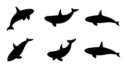 Orca Whale Silhouettes, Marine Mammal Vector Icons, Killer Whale Aquatic Wildlife Collection © Nidhi