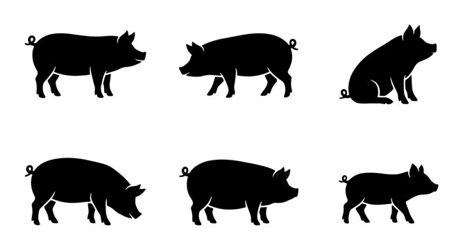Six Black Pig Silhouettes, Farm Animal Icons, Livestock Vector Graphics, Cute Swine Illustrations