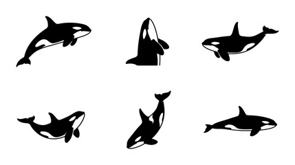 Orca Whale Silhouettes Set, Killer Whale Vector Icons, Marine Mammal Illustrations, Ocean Wildlife Graphics © Radha