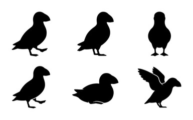 Fototapeta premium Puffin Silhouette Collection: Various Poses, Bird Vector Icons, Wildlife Graphics