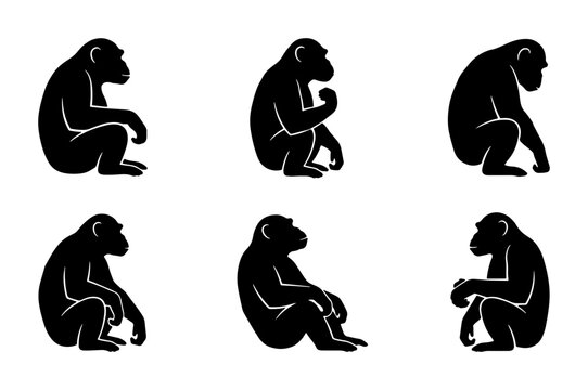 Chimpanzee Silhouettes, Primate Poses Collection, Ape Icon Set, Wildlife Vector Art