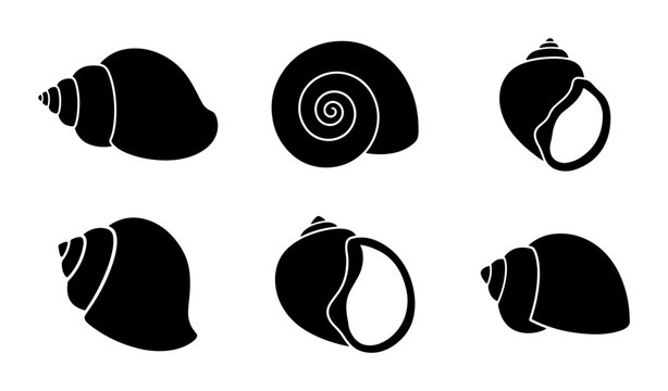 Set of 6 Black Seashell Silhouettes, Marine Life Icons, Oceanography Vector Graphics