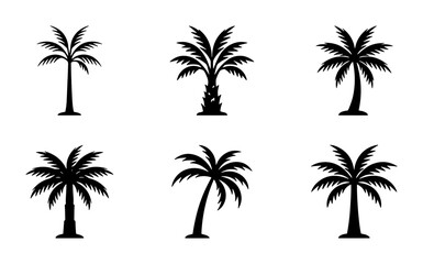 Fototapeta premium Palm Tree Silhouettes, Tropical Vector Icons, Exotic Plant Graphics, Summer Beach Elements