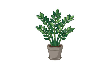 Fototapeta premium ZZ Plant Potted Vector Illustration