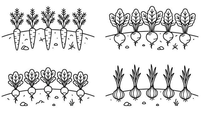 Set of growing vegetables in garden soil linear icon pack monochrome.