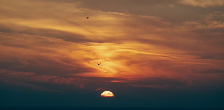 A stunning sunset over the water, adorned by the graceful flight of birds in the sky, creating an exquisite blend of colors and nature's beauty in a peaceful getaway.