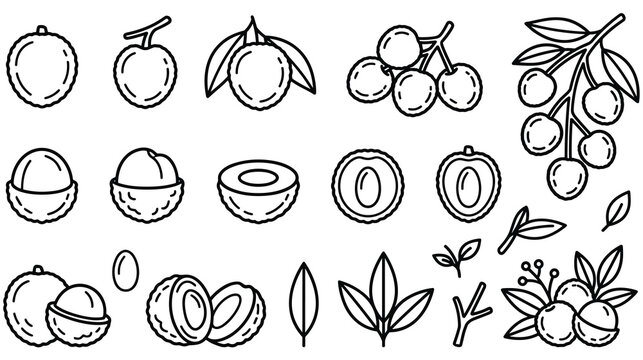 Lychee fruit outline icons set isolated on white background.