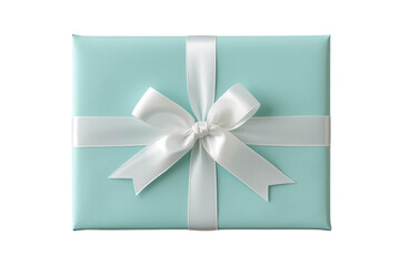 Obraz premium Mint gift box with white ribbon bow isolated