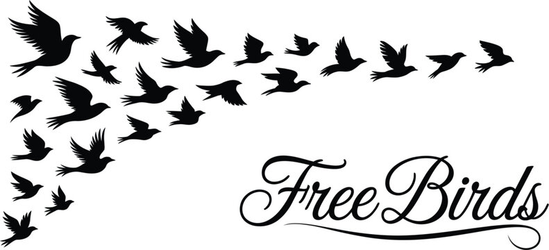 A flock of flying birds vector illustration with graceful wings soaring across a clean white background