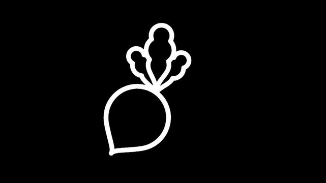 Simple white outline of a beet on a black background, minimalist icon