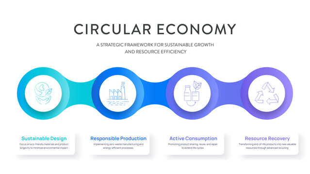 Circular Economy Infographic Vector. Sustainable design, responsible production, active consumption, and resource recovery cycle. Strategic framework for eco sustainable business Presentation Slide.