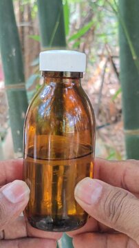 Hand Holding Amber Glass Bottle with Natural Turpentine Near Bamboo