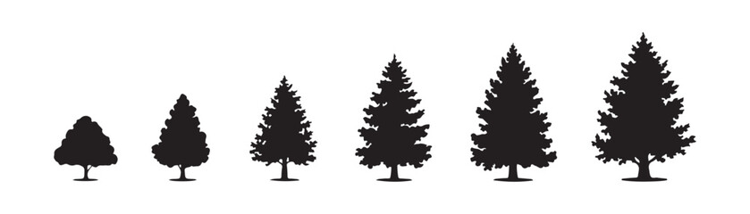Series of realistic black pine tree silhouettes in various sizes for natural landscape and forest scene creations. © Abu